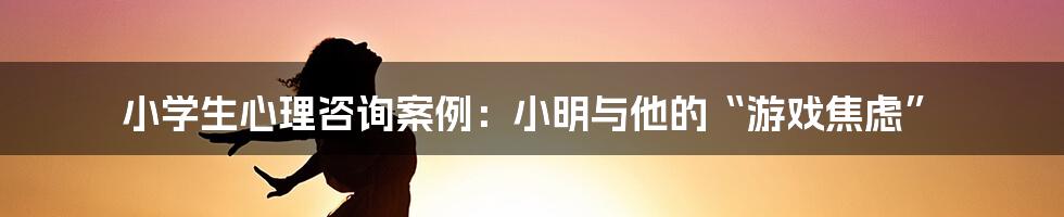 小学生心理咨询案例：小明与他的“游戏焦虑”