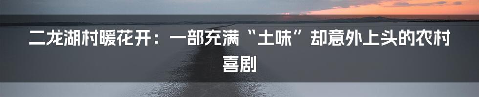 二龙湖村暖花开：一部充满“土味”却意外上头的农村喜剧