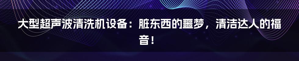 大型超声波清洗机设备：脏东西的噩梦，清洁达人的福音！