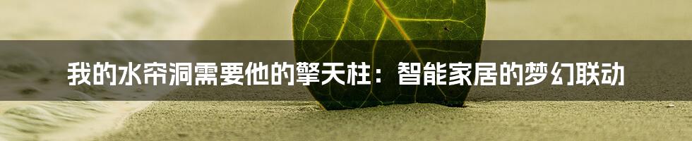 我的水帘洞需要他的擎天柱：智能家居的梦幻联动