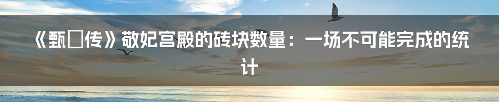 《甄嬛传》敬妃宫殿的砖块数量：一场不可能完成的统计