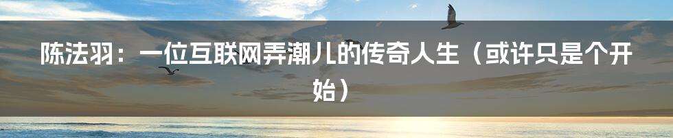 陈法羽：一位互联网弄潮儿的传奇人生（或许只是个开始）