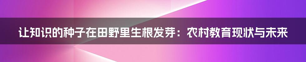 让知识的种子在田野里生根发芽：农村教育现状与未来