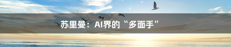 苏里曼：AI界的“多面手”