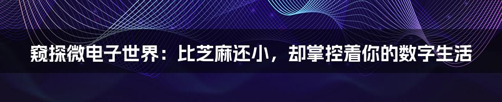 窥探微电子世界：比芝麻还小，却掌控着你的数字生活