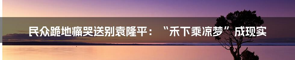 民众跪地痛哭送别袁隆平：“禾下乘凉梦”成现实