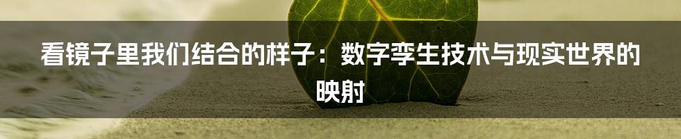 看镜子里我们结合的样子：数字孪生技术与现实世界的映射