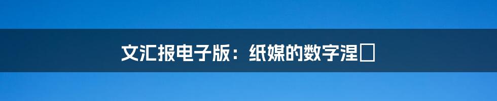 文汇报电子版：纸媒的数字涅槃