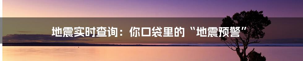 地震实时查询：你口袋里的“地震预警”