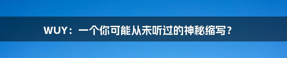 WUY：一个你可能从未听过的神秘缩写？