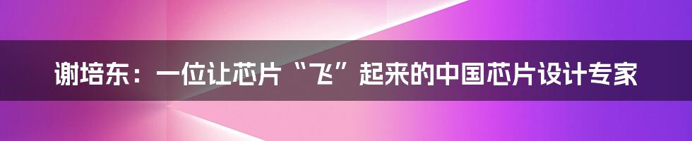 谢培东：一位让芯片“飞”起来的中国芯片设计专家