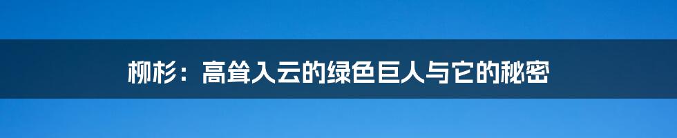 柳杉：高耸入云的绿色巨人与它的秘密