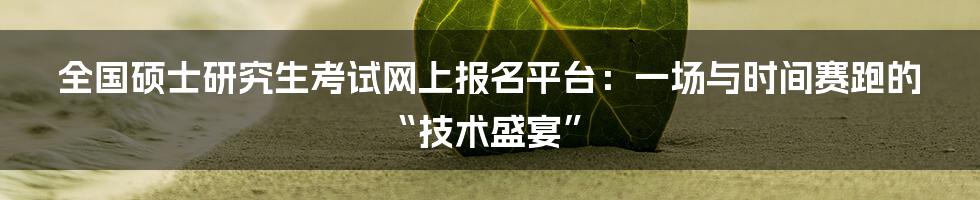 全国硕士研究生考试网上报名平台：一场与时间赛跑的“技术盛宴”