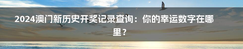 2024澳门新历史开奖记录查询：你的幸运数字在哪里？