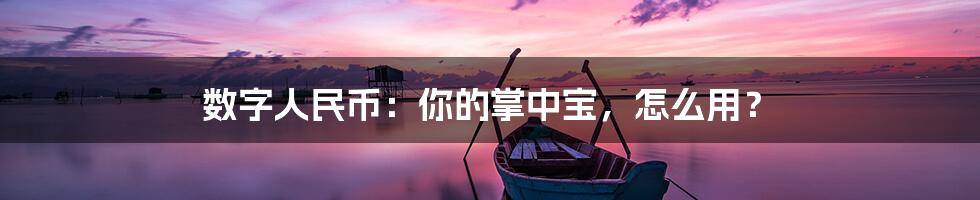 数字人民币：你的掌中宝，怎么用？