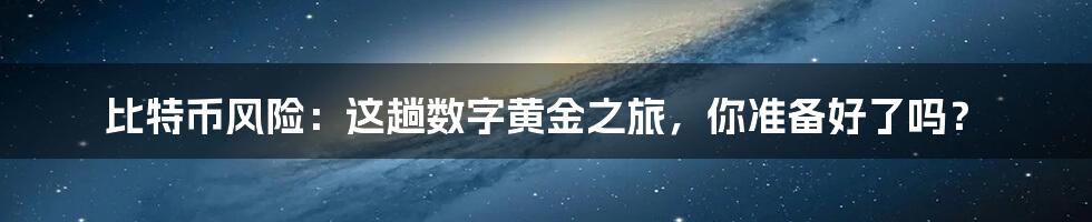 比特币风险：这趟数字黄金之旅，你准备好了吗？