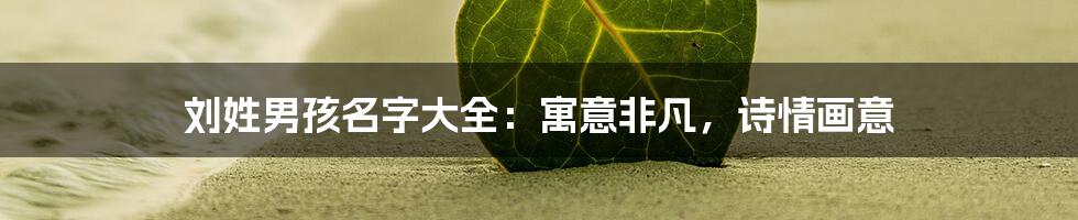 刘姓男孩名字大全：寓意非凡，诗情画意