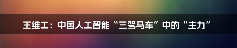 王维工：中国人工智能“三驾马车”中的“主力”