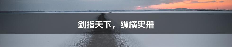 剑指天下，纵横史册