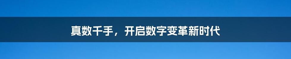 真数千手，开启数字变革新时代