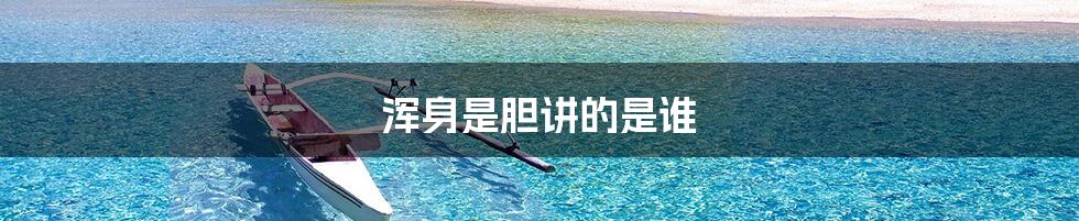 浑身是胆讲的是谁