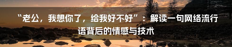 “老公，我想你了，给我好不好”：解读一句网络流行语背后的情感与技术