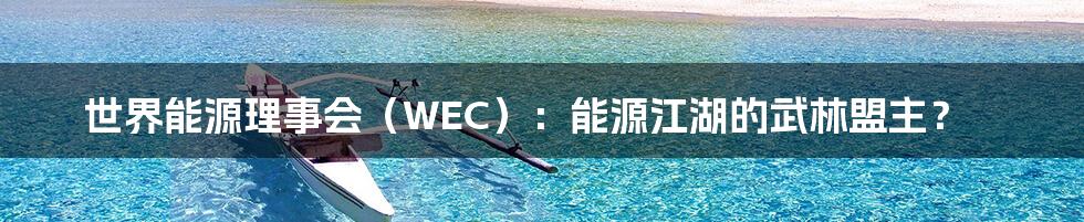 世界能源理事会（WEC）：能源江湖的武林盟主？