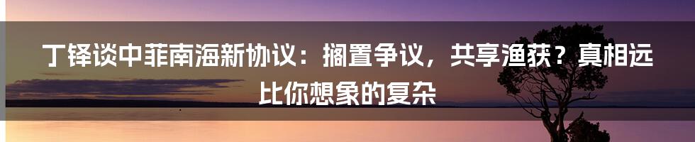 丁铎谈中菲南海新协议：搁置争议，共享渔获？真相远比你想象的复杂