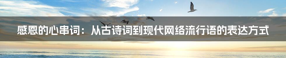 感恩的心串词：从古诗词到现代网络流行语的表达方式