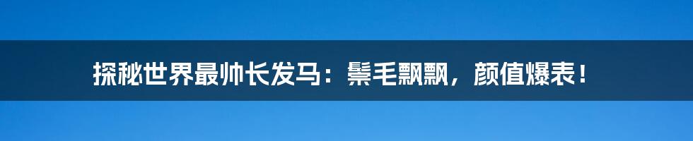 探秘世界最帅长发马：鬃毛飘飘，颜值爆表！