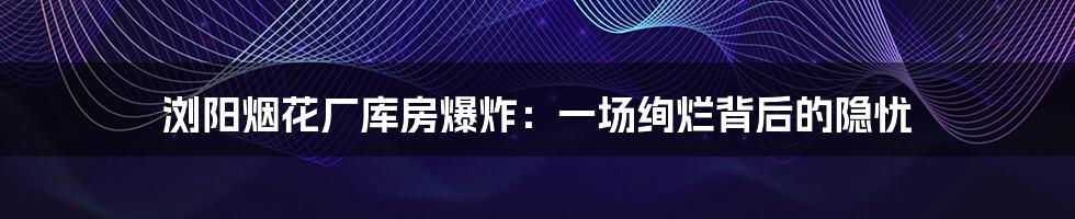 浏阳烟花厂库房爆炸：一场绚烂背后的隐忧