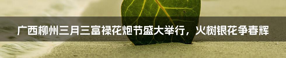 广西柳州三月三富禄花炮节盛大举行，火树银花争春辉