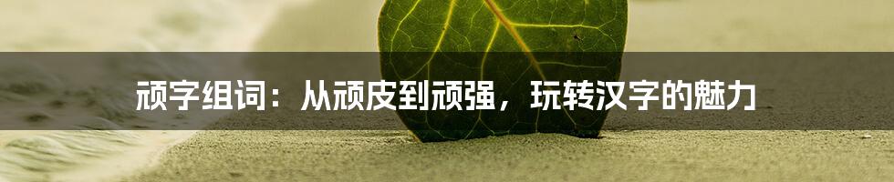 顽字组词：从顽皮到顽强，玩转汉字的魅力