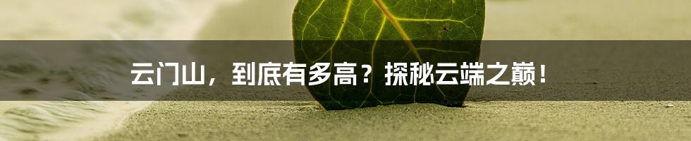 云门山，到底有多高？探秘云端之巅！