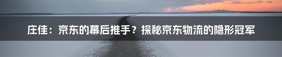 庄佳：京东的幕后推手？探秘京东物流的隐形冠军