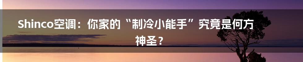 Shinco空调：你家的“制冷小能手”究竟是何方神圣？