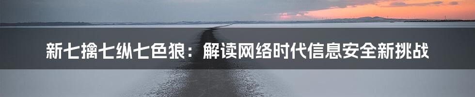 新七擒七纵七色狼：解读网络时代信息安全新挑战