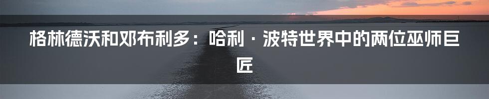 格林德沃和邓布利多：哈利·波特世界中的两位巫师巨匠