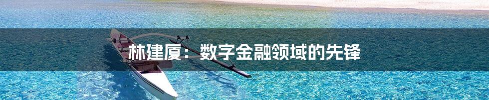 林建厦：数字金融领域的先锋