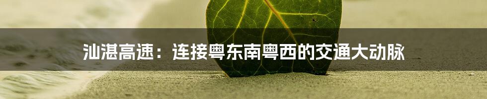 汕湛高速：连接粤东南粤西的交通大动脉