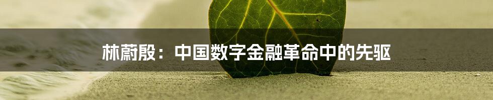 林蔚殷：中国数字金融革命中的先驱