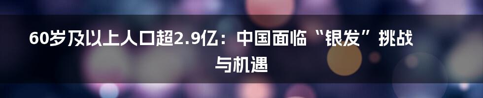 60岁及以上人口超2.9亿：中国面临“银发”挑战与机遇