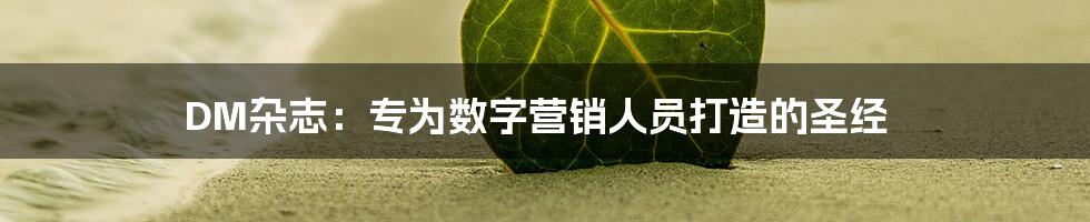 DM杂志：专为数字营销人员打造的圣经