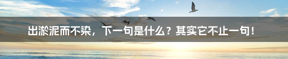 出淤泥而不染，下一句是什么？其实它不止一句！