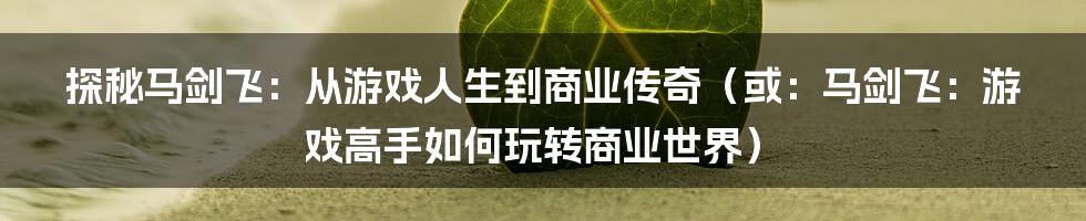 探秘马剑飞：从游戏人生到商业传奇（或：马剑飞：游戏高手如何玩转商业世界）