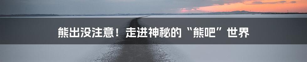 熊出没注意！走进神秘的“熊吧”世界