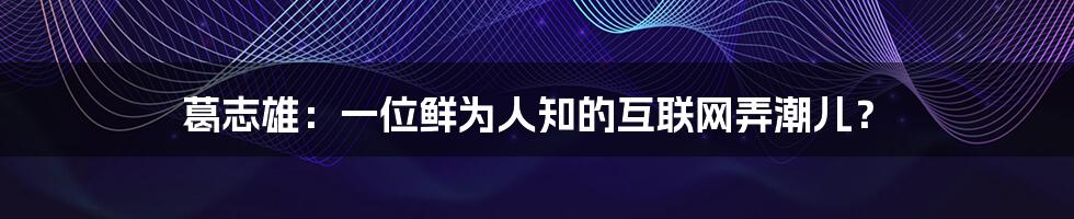 葛志雄：一位鲜为人知的互联网弄潮儿？