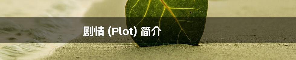 剧情 (Plot) 简介