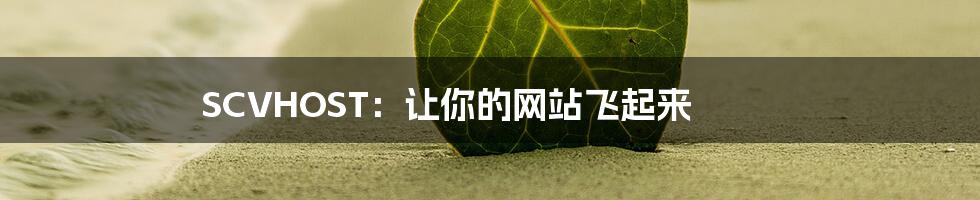 SCVHOST：让你的网站飞起来