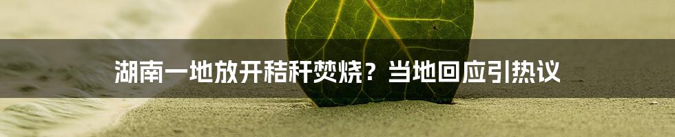 湖南一地放开秸秆焚烧？当地回应引热议